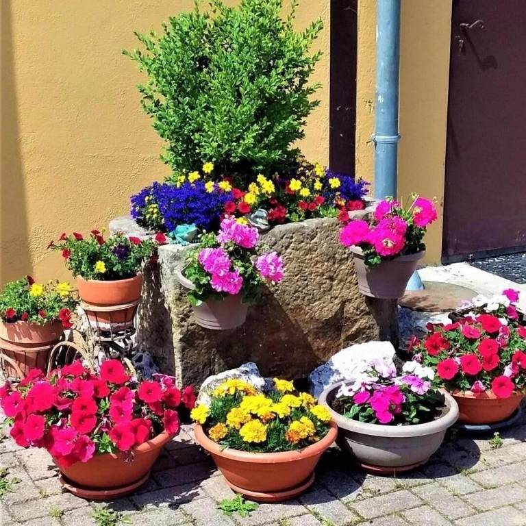 foto3