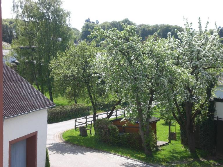 foto4