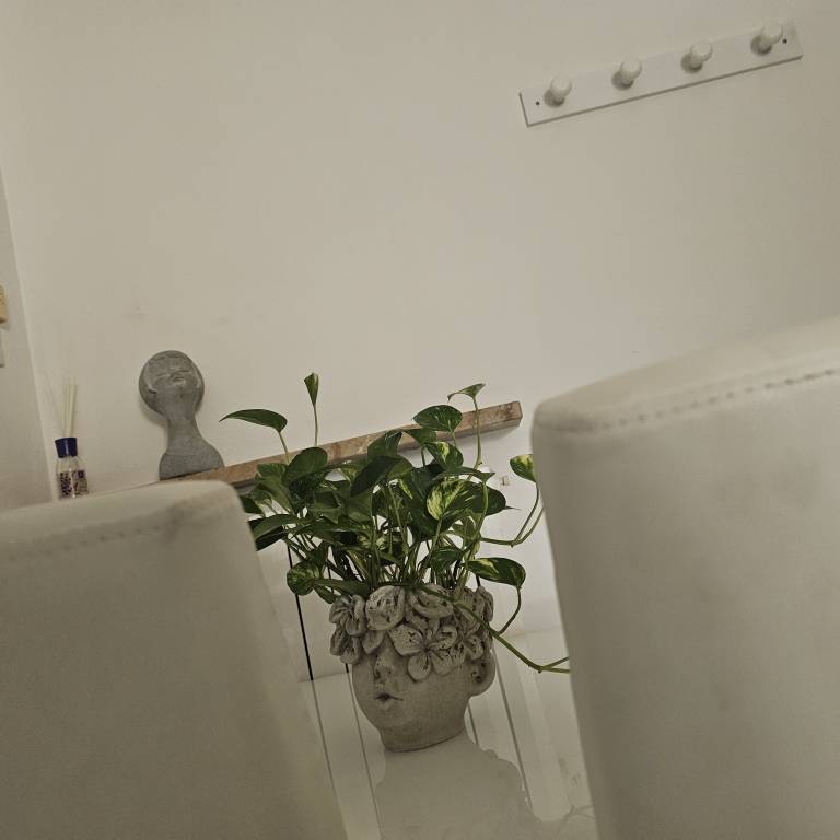 foto5
