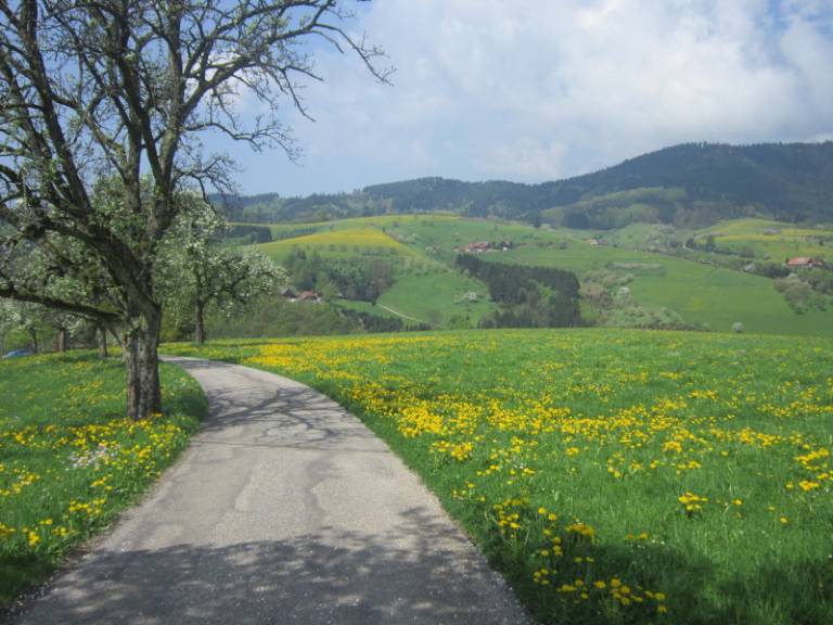 foto17