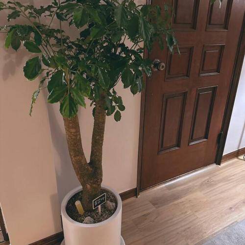 foto15