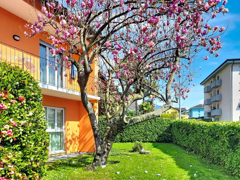 Ferienwohnung  Bellinzona