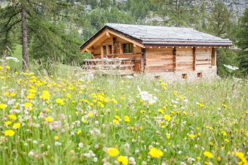 Chalet Zermatt