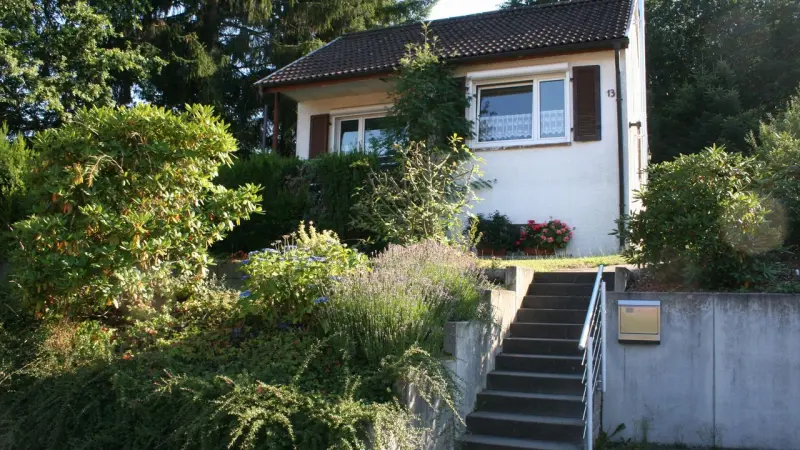Ferienhaus Wald-Michelbach