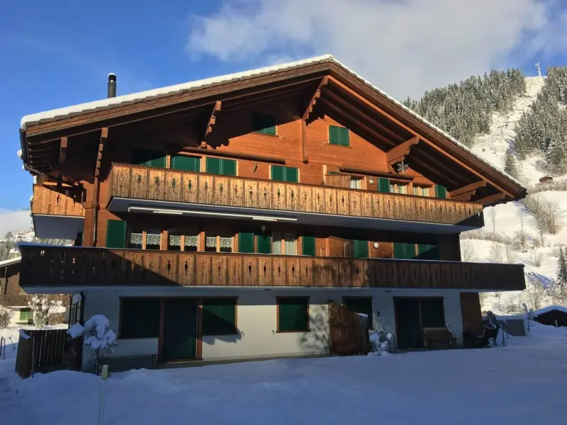 Ferienwohnung Lenk
