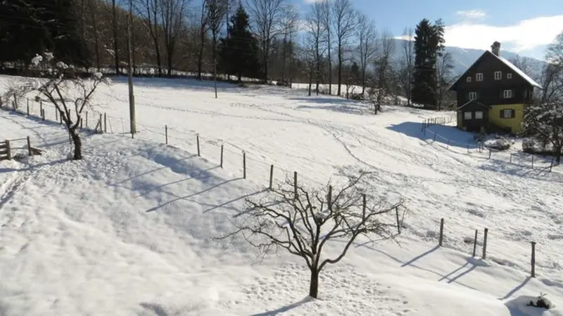 Ferienwohnung Gemeinde Bad Goisern am Hallstättersee