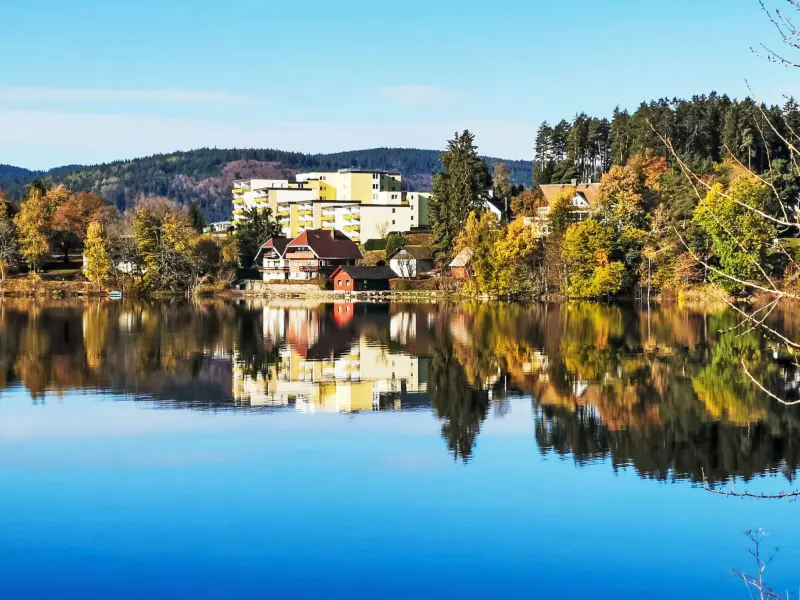 Apartment Schluchsee