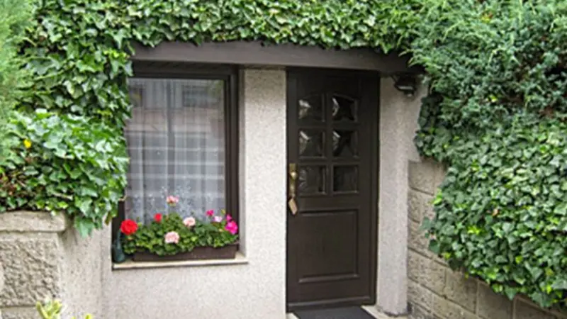 Ferienwohnung Ribnitz-Damgarten