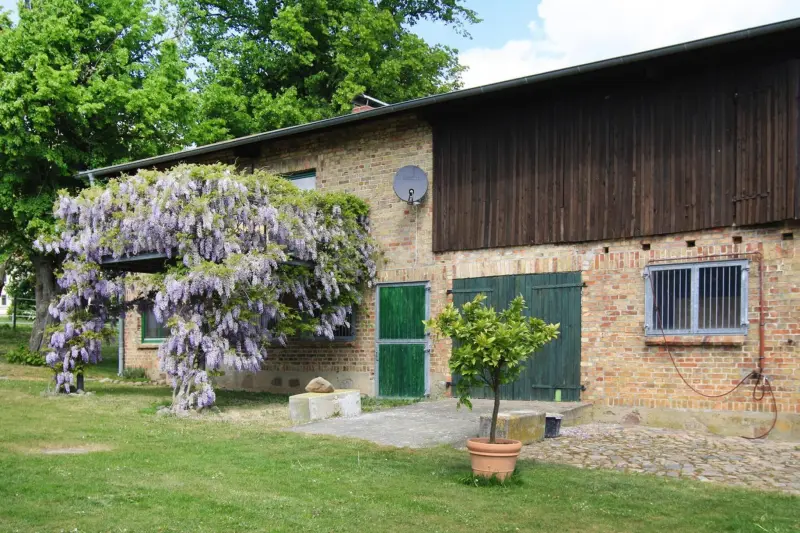 Ferienhaus Sternberg