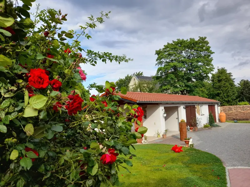 Ferienwohnung Schleife