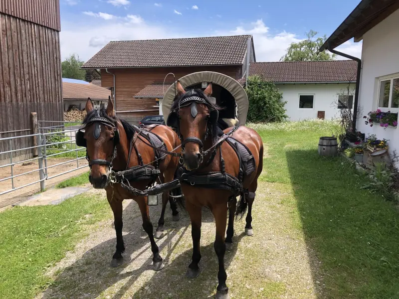 Ferienwohnung Durach