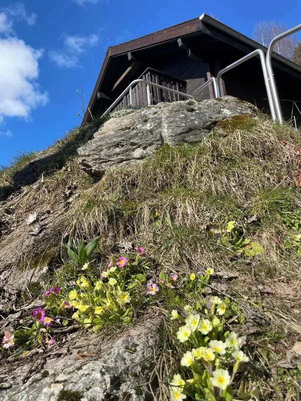 Chalet Blatten bei Naters