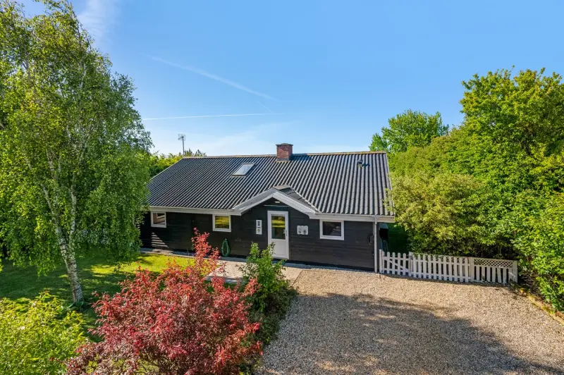 Ferienhaus mit Hund in Skaven Strand fuer max. 6 Personen