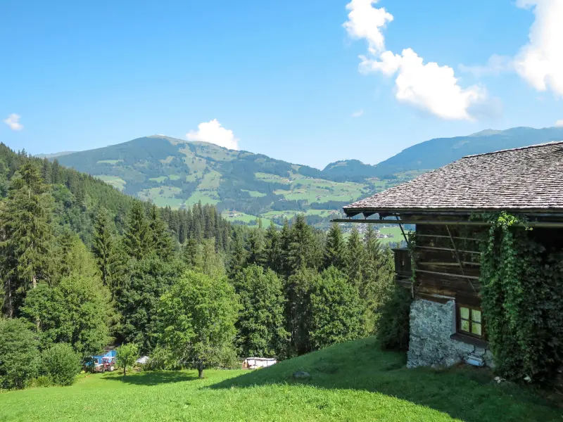 Ferienhaus in Hollersbach im Pinzgau f&uuml;r max. 13 Personen