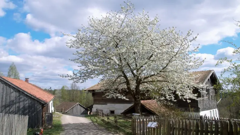 Ferienwohnung  Burglengenfeld