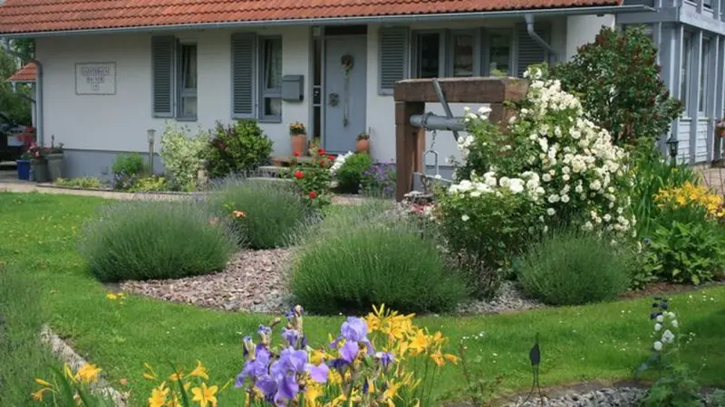 Ferienwohnung  Ringsheim