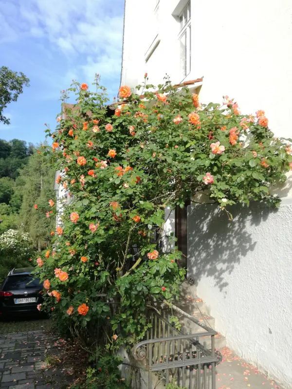 Ferienwohnung Murrhardt