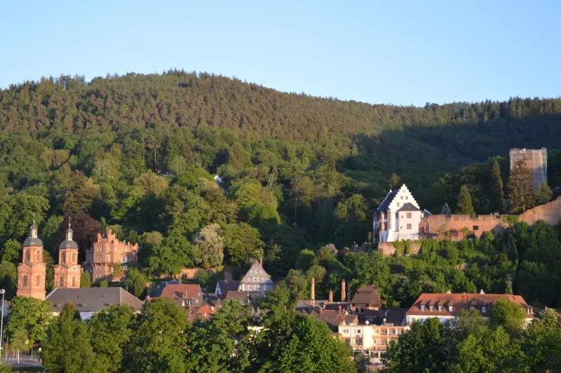Ferienwohnung Miltenberg
