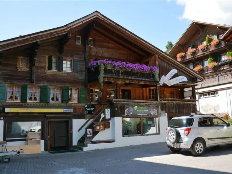 Ferienwohnung Schönried