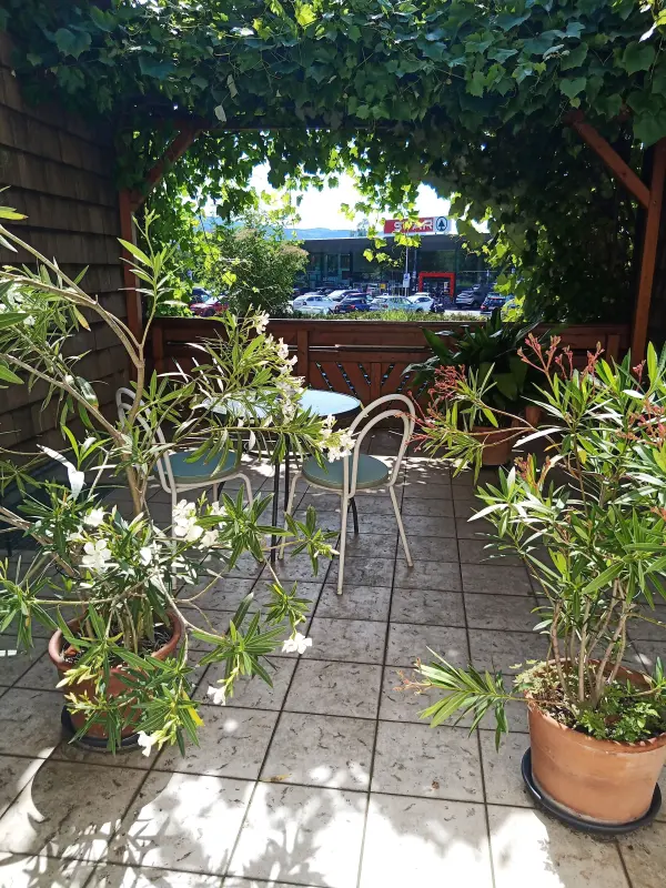 Ferienwohnung Attersee