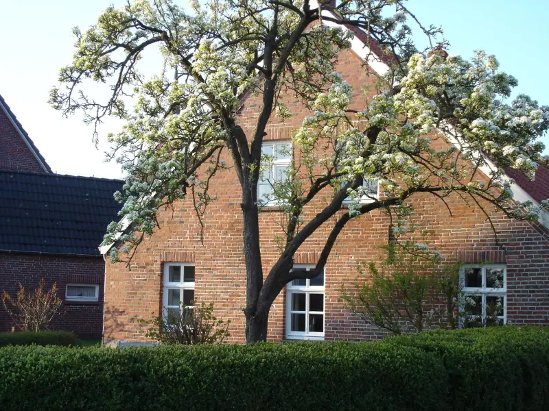 Landhaus Krummhörn