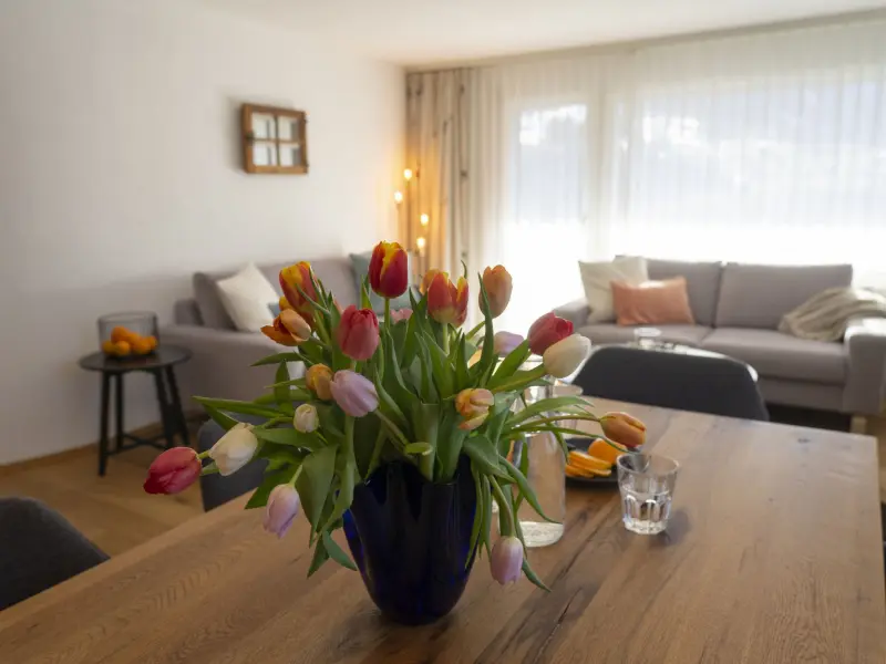 Ferienwohnung Wildhaus