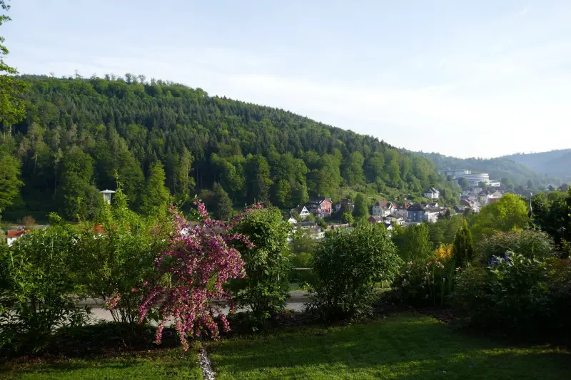 Ferienwohnung Loffenau