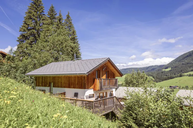 Chalet mit Hund in Steuer, Annaberg Lungötz f&uuml;r max. 10 Personen