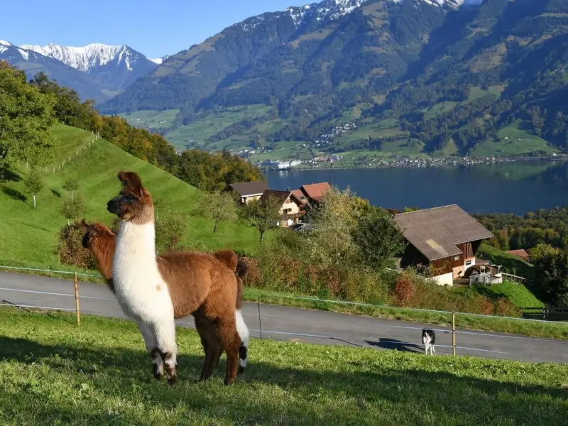 Ferienhaus in Sarnen f&uuml;r max. 4 Personen