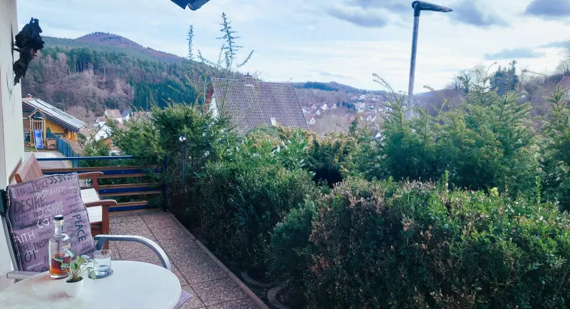 Ferienwohnung Schönau (Pfalz)