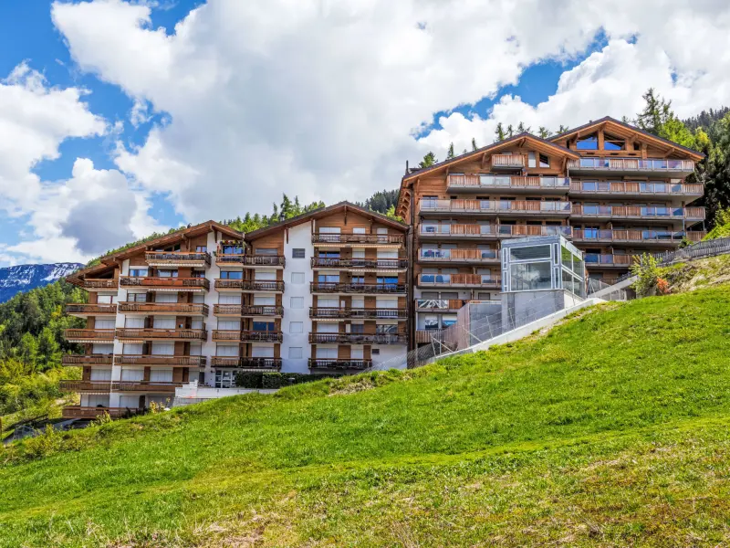 Ferienwohnung mit Hund in Nendaz fuer max. 4 Personen