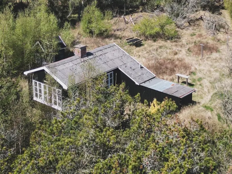 Ferienhaus mit Hund in Skagen fuer max. 4 Personen
