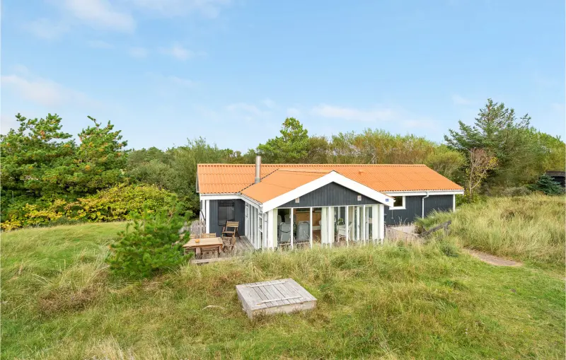 Ferienhaus mit Hund inSønder Vorupør,   f&uuml;r max. 6 Personen