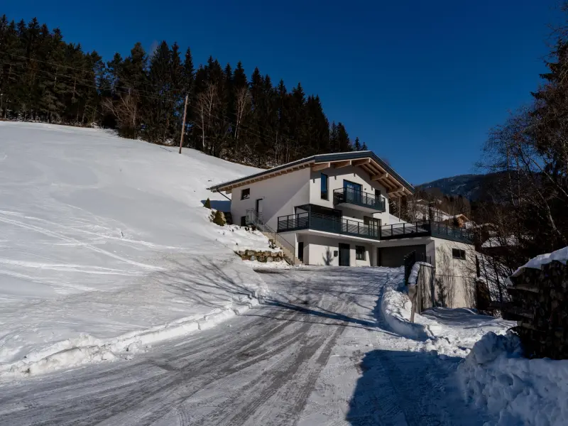 Ferienwohnung Viehhofen