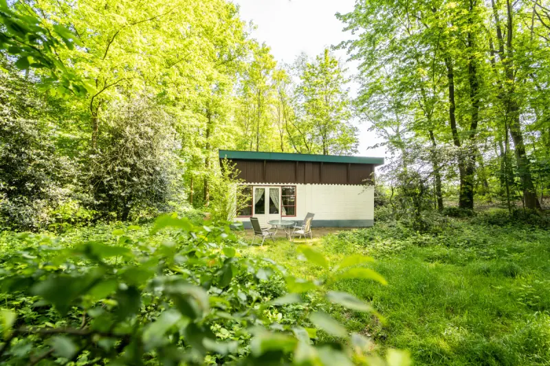 Voll ausgestattetes Ferienhaus mit Terrasse und Garten | Haustiere erlaubt