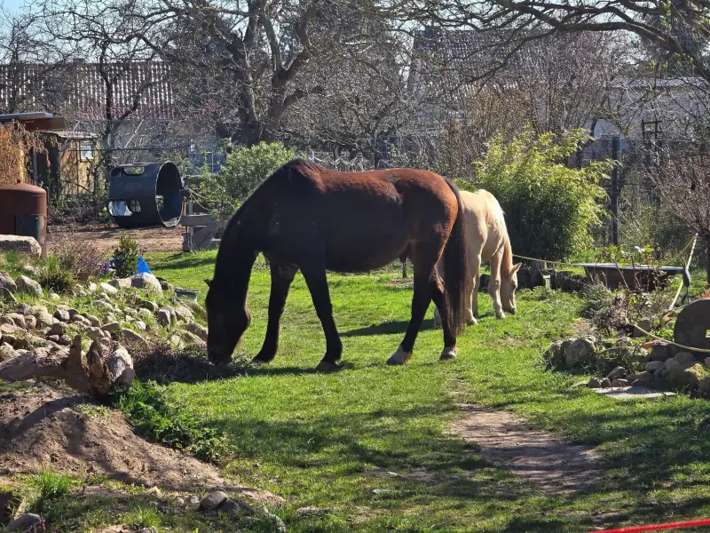Ferienwohnung Barleben