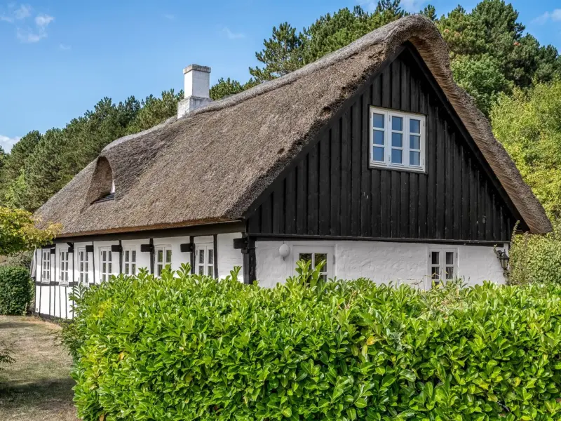 Ferienhaus Knebel