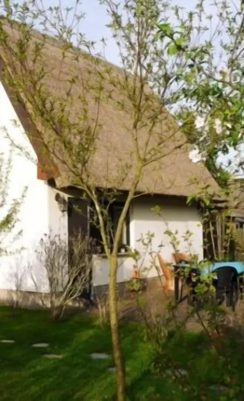 Ferienhaus Freest