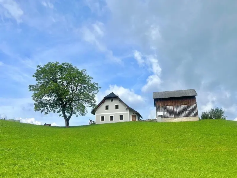 Ferienwohnung  Eisenwiesen