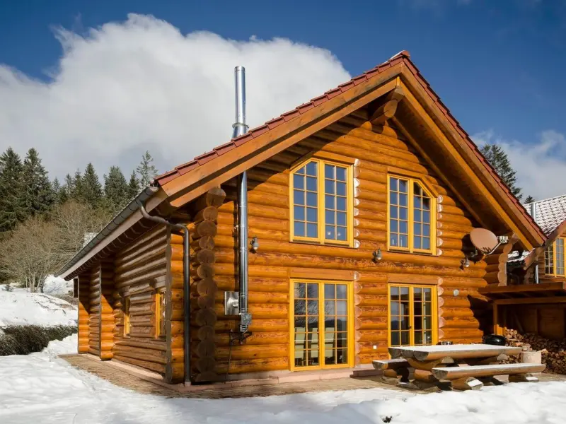 Ferienhaus mit Hund in Feldberg (Schwarzwald), Schwarzwald, Deutschland