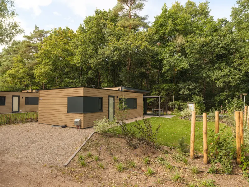 Ferienhaus mit Hund inOosterhuizen, Gelderland  f&uuml;r max. 4 Personen