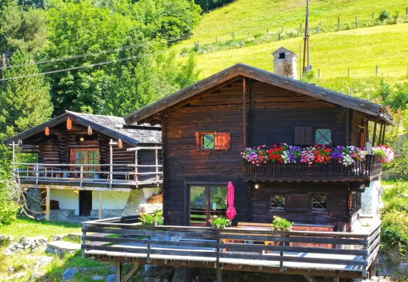 mit Hund in Bad Hofgastein für max. 6 Personen mit Hund in Bad Hofgastein für max. 6 Personen