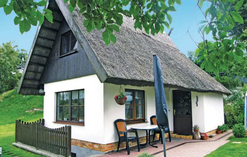 Ferienhaus mit Hund in Bocksee, Mecklenburg-Vorpommern fuer max. 4 Personen