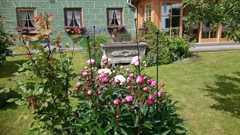 Ferienwohnung  Bad Feilnbach