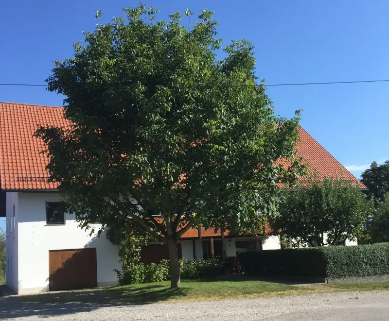 Ferienwohnung Ochsenhausen