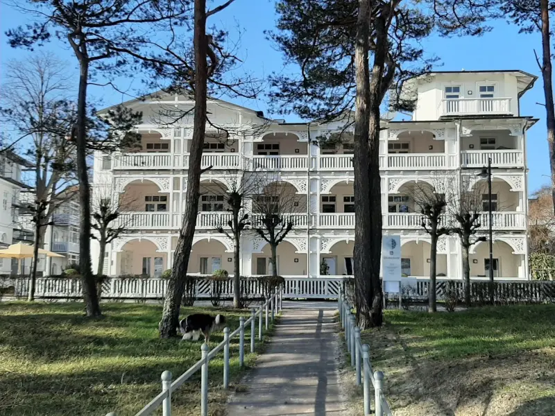 Ferienwohnung mit Hund inBinz, Ostseebad Binz  f&uuml;r max. 2 Personen