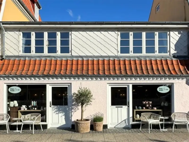 House Skagen