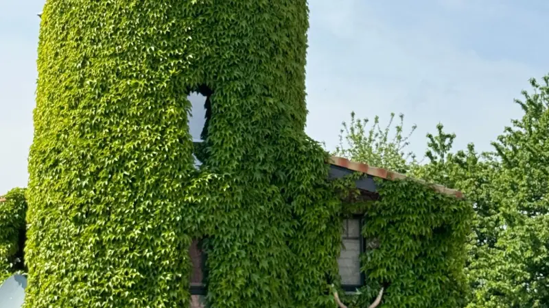 Ferienhaus  Voerde (Niederrhein)