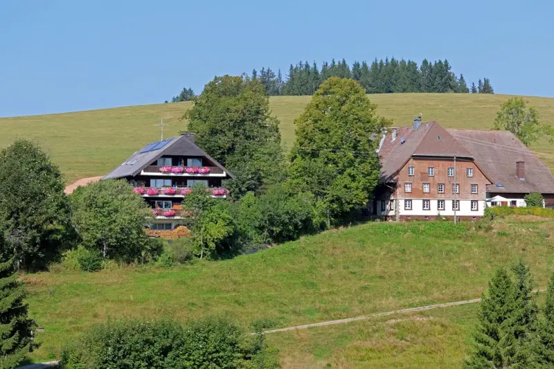 Ferienwohnung Breitnau