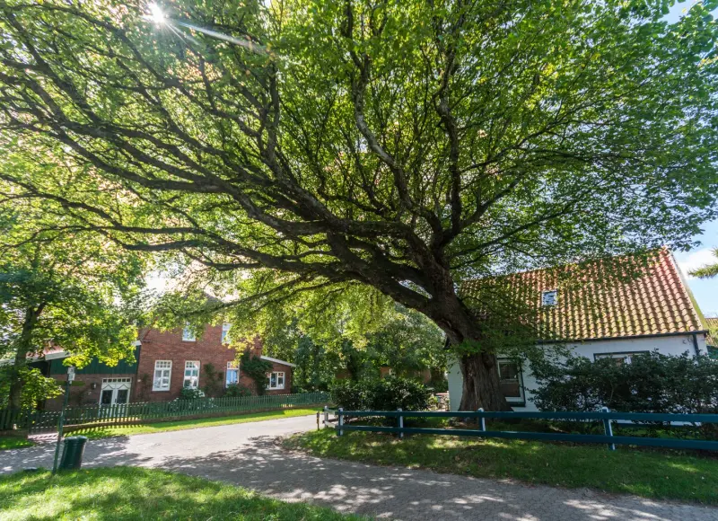 Ferienwohnung Spiekeroog